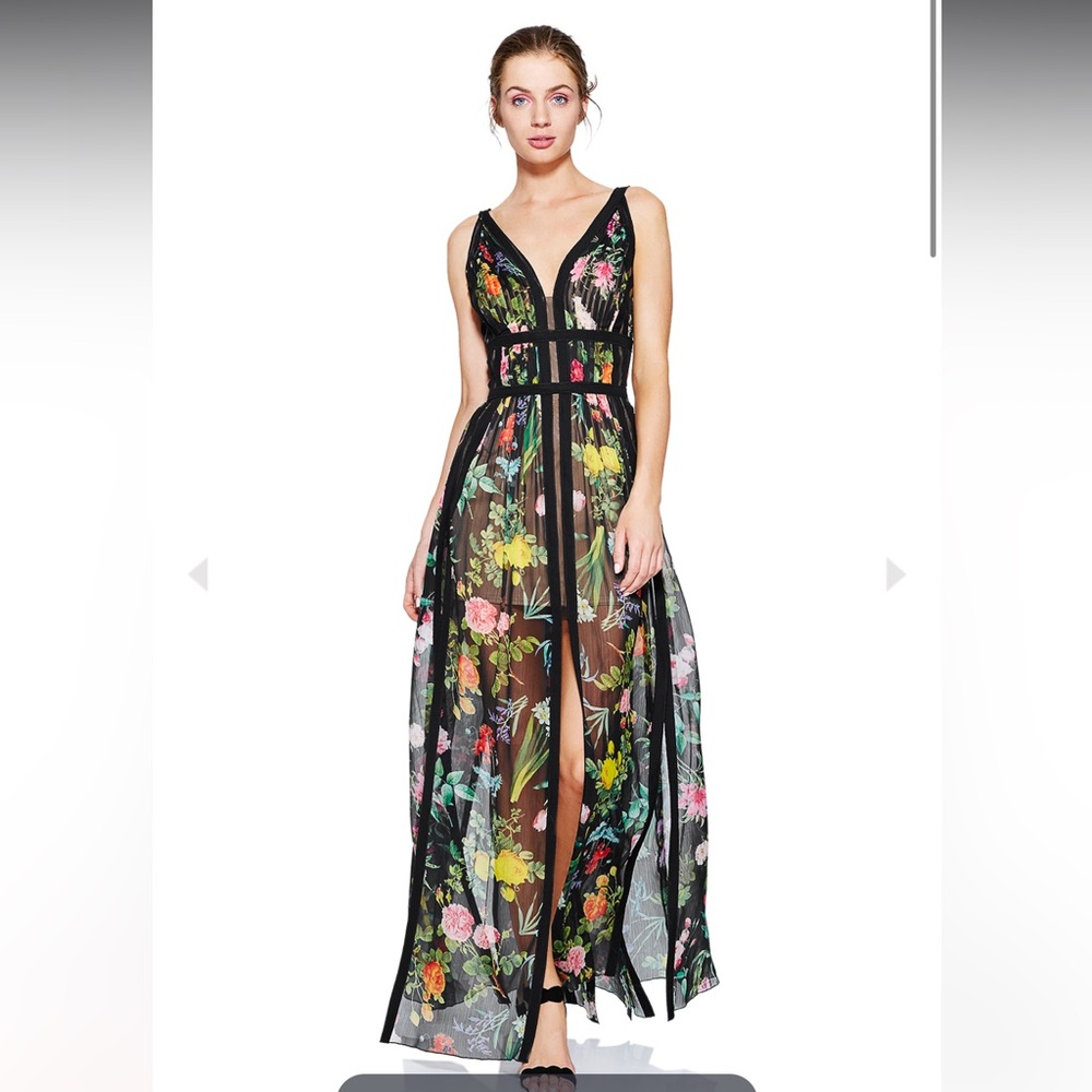 Tadashi Shoji CLEA GOWN, size 2, perfect never worn condition!